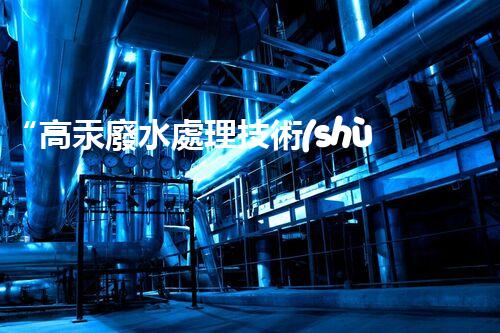 “高汞廢水處理技術(shù)，綠色環(huán)保新篇章”